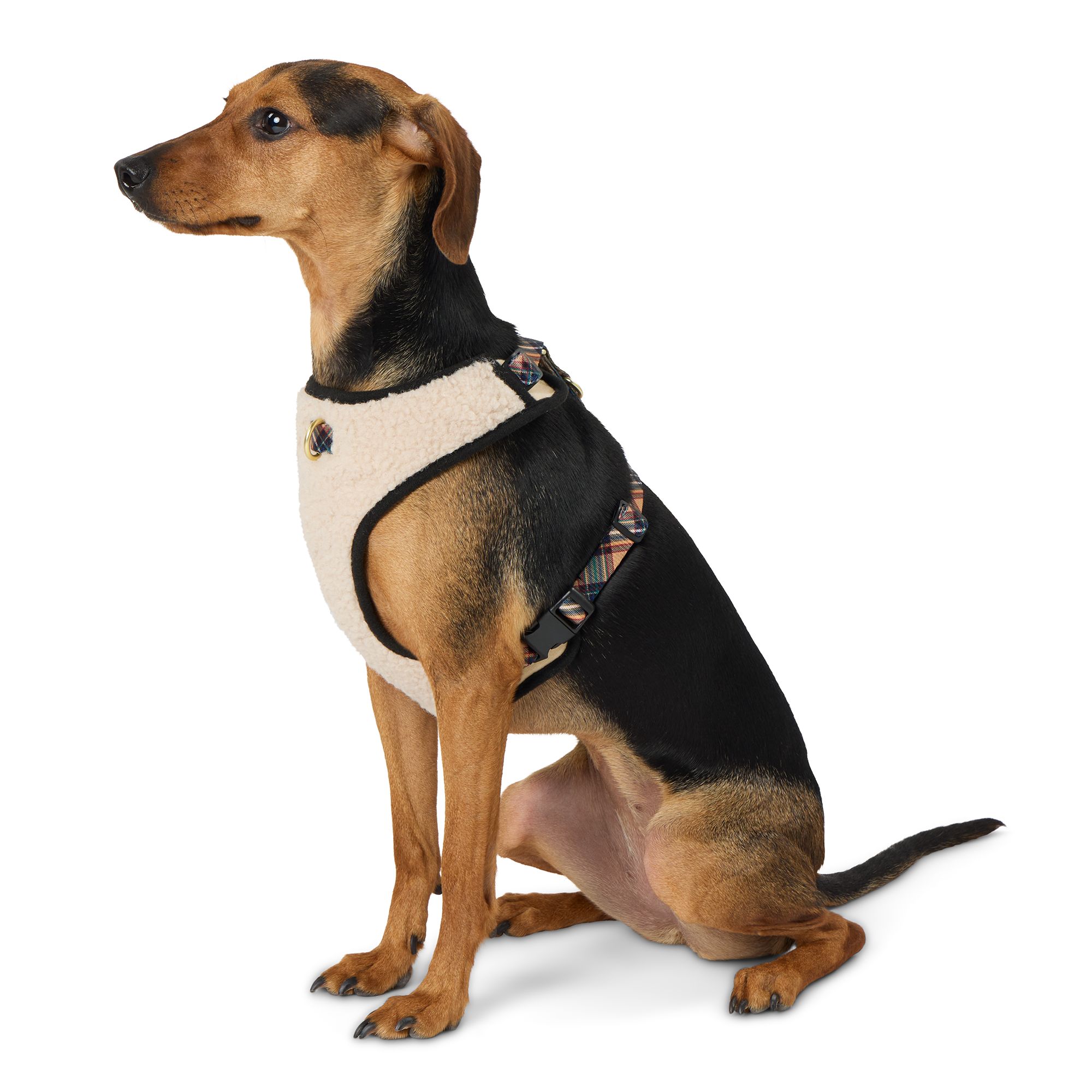 Dog Harnesses Vests Shop by Size Brand More PetSmart Canada