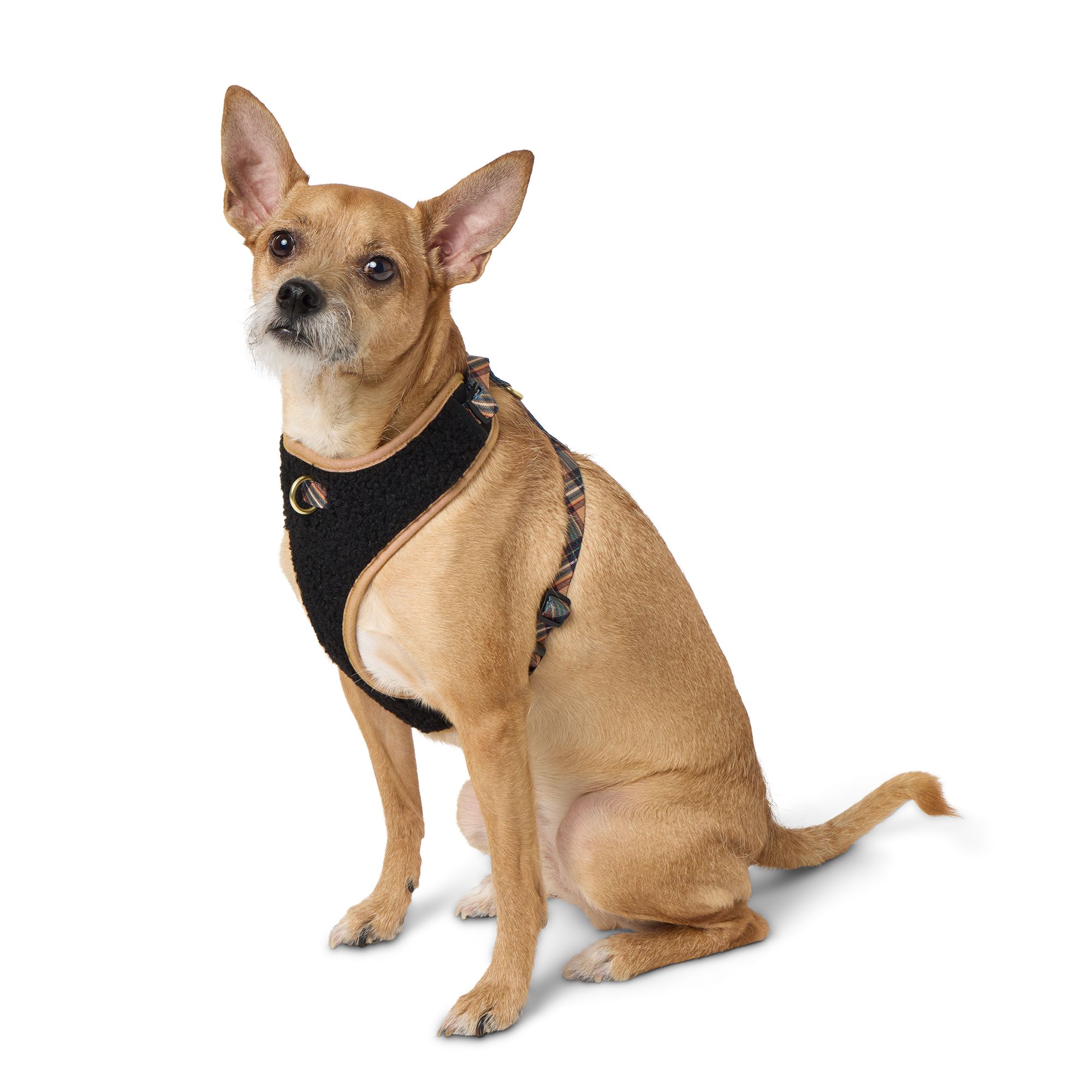 Dog Harnesses Vests Shop by Size Brand More PetSmart Canada