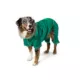 Product Merry & Bright Green Satin Pajamas, Dog & Cat