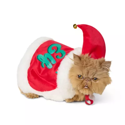 Product Merry & Bright Elf Cape for Dogs