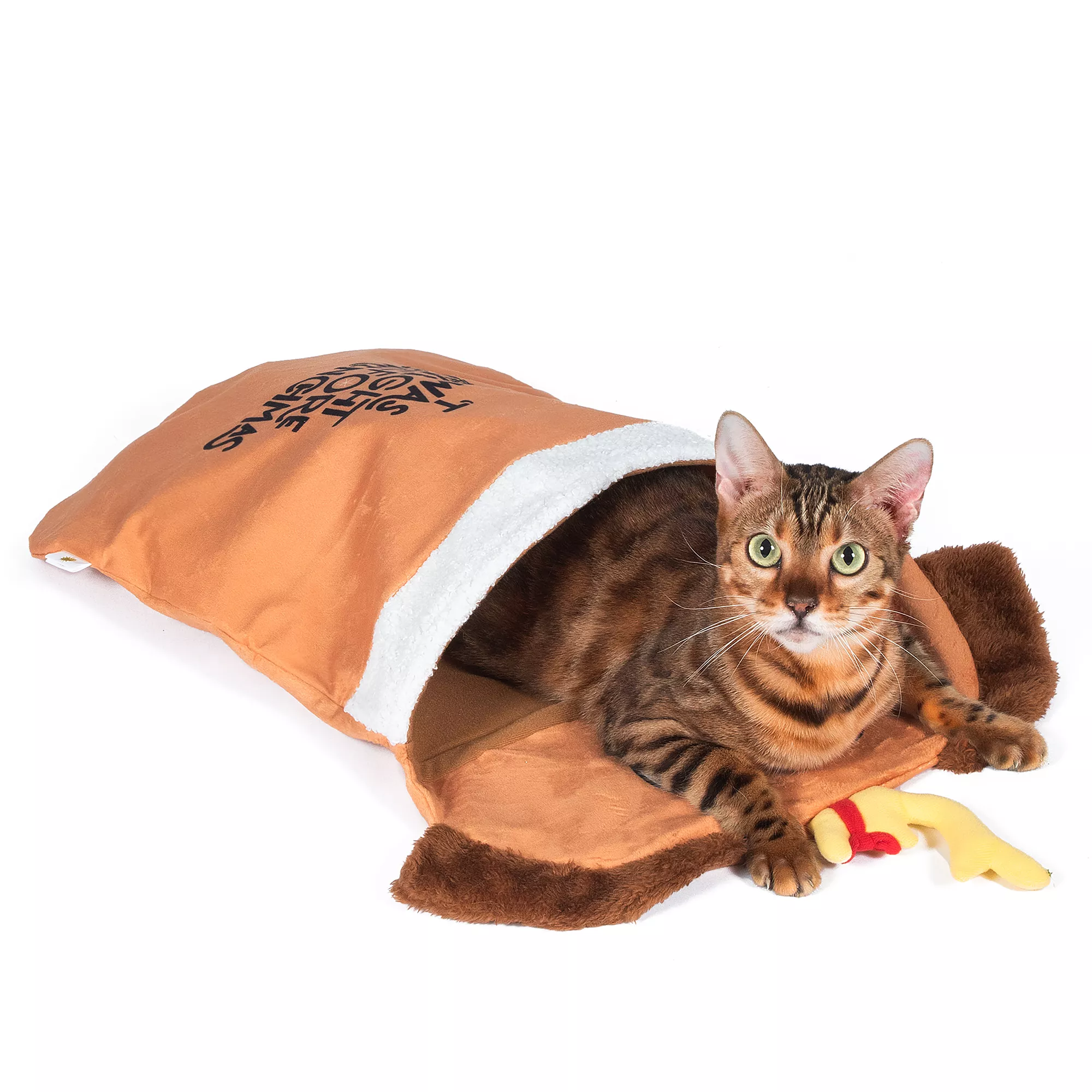 How the Grinch Stole Christmas Cat Play Sack