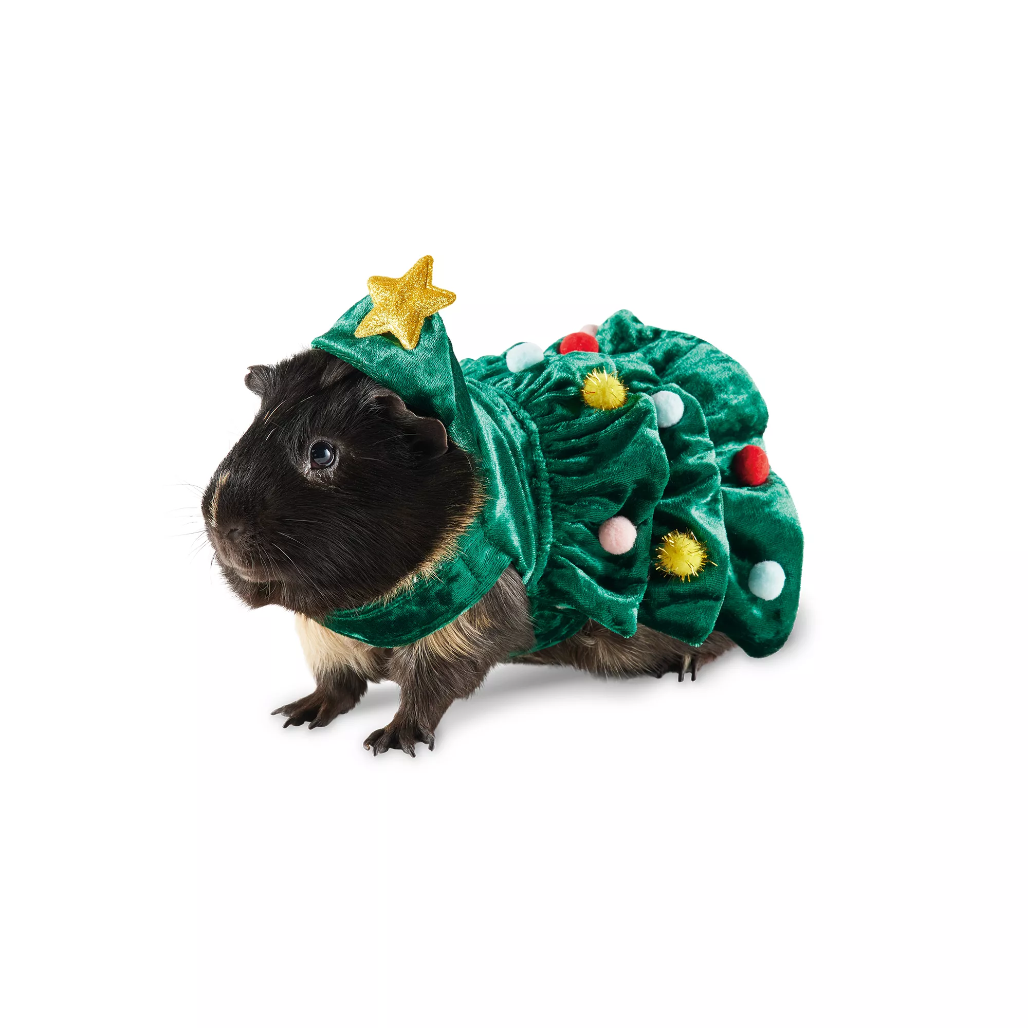 Merry & Bright Small Pet Christmas Tree Costume
