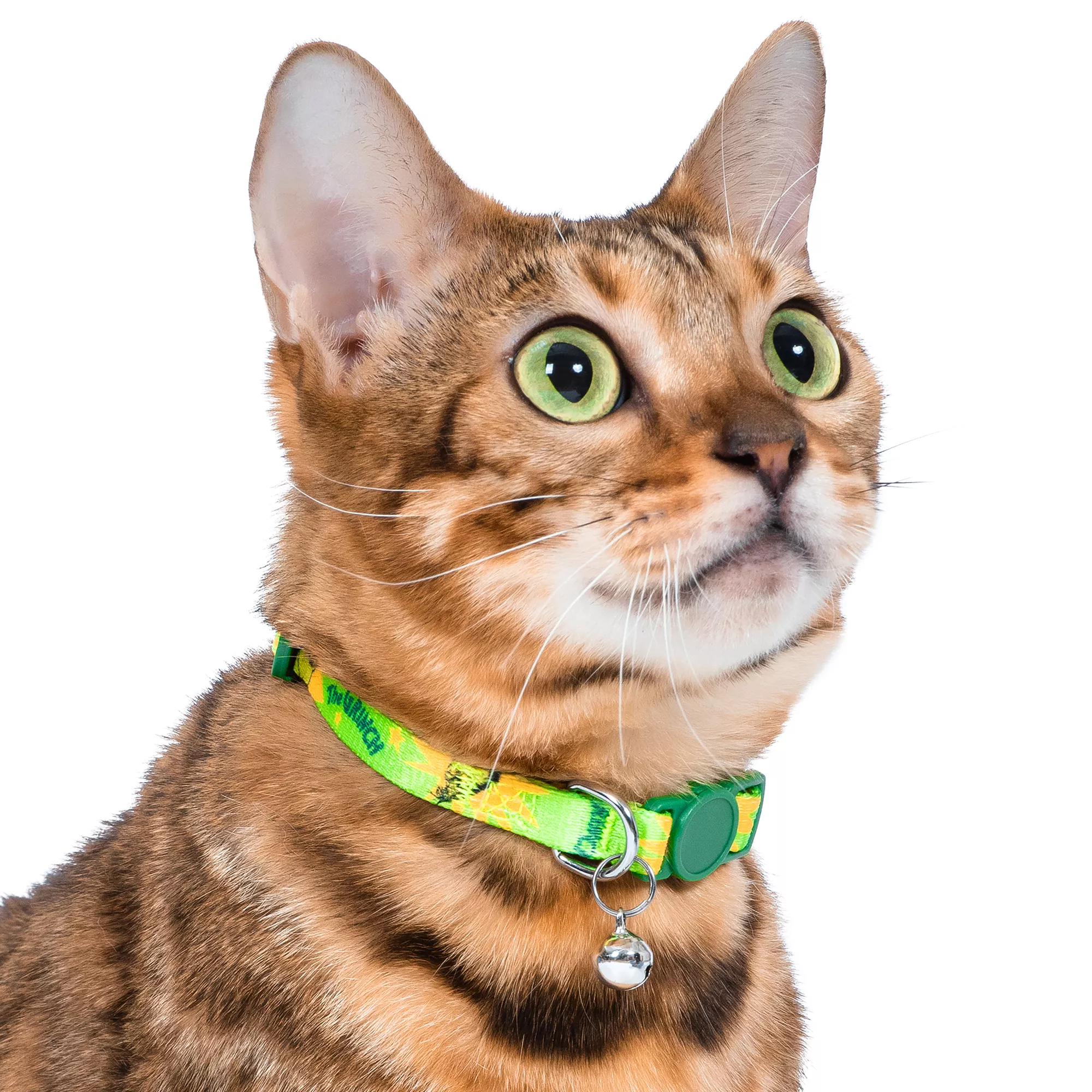 Holiday Grinch Kitten/Cat Green Collar