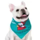 Product Holiday Peanuts Bandana