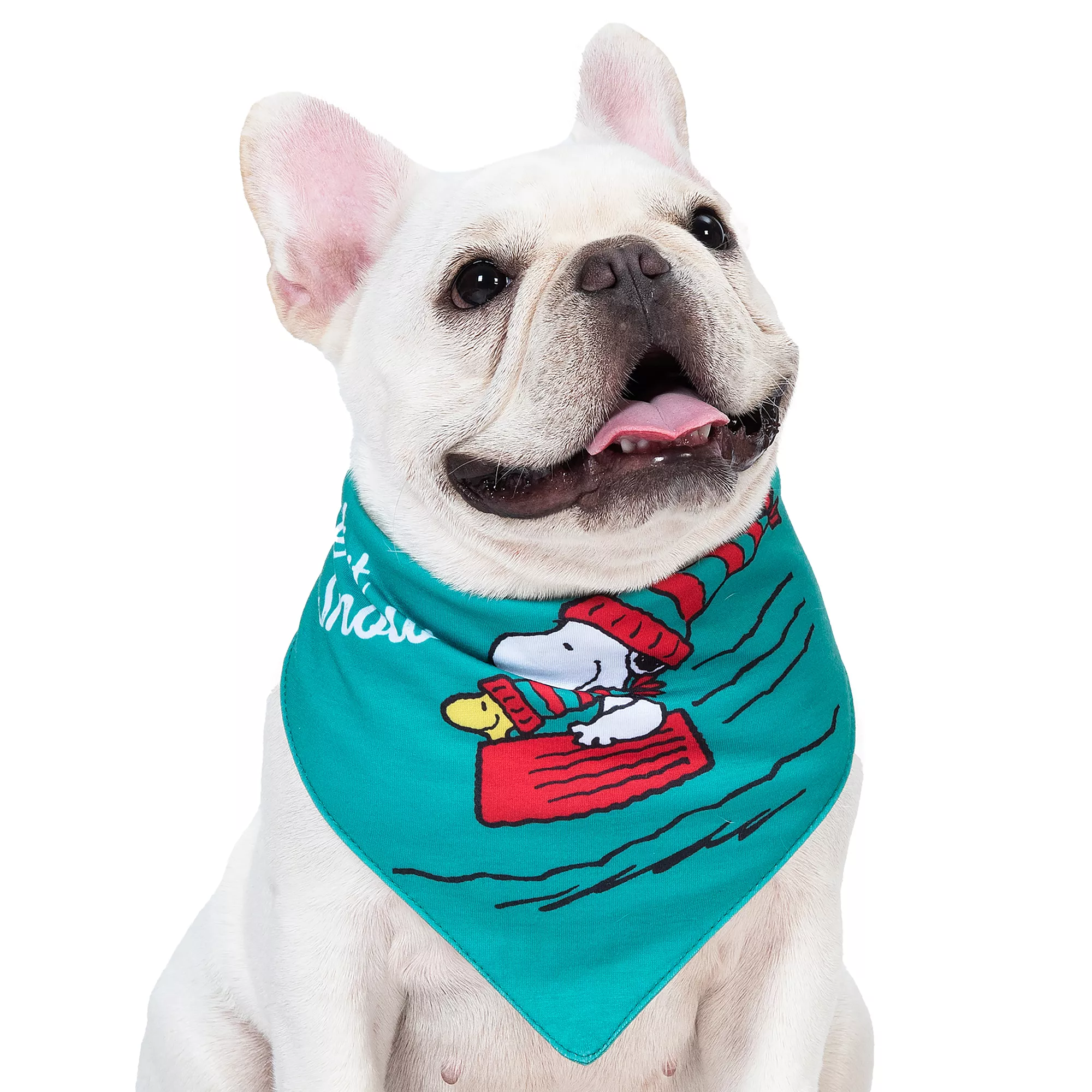 Holiday Peanuts Bandana