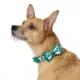 Product Merry & Bright Trees Holiday Dog Collar