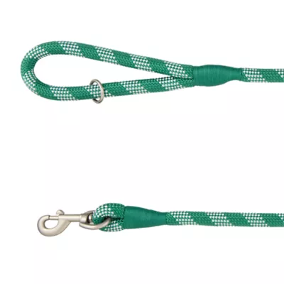 Product Merry & Bright Green Rope Dog Leash