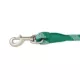 Product Merry & Bright Green Rope Dog Leash