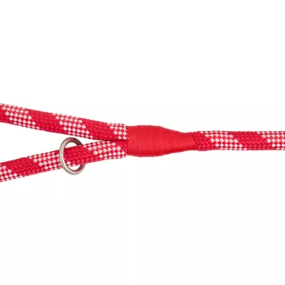 Product Merry & Bright Peppermint Rope Dog Leash