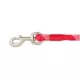 Product Merry & Bright Peppermint Rope Dog Leash