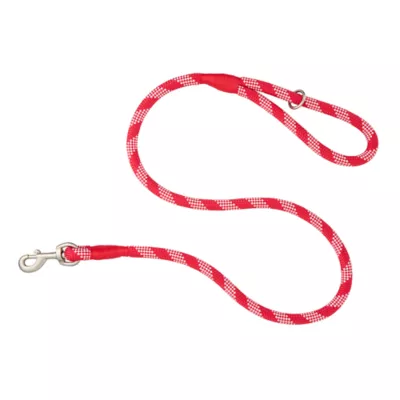 Product Merry & Bright Peppermint Rope Dog Leash