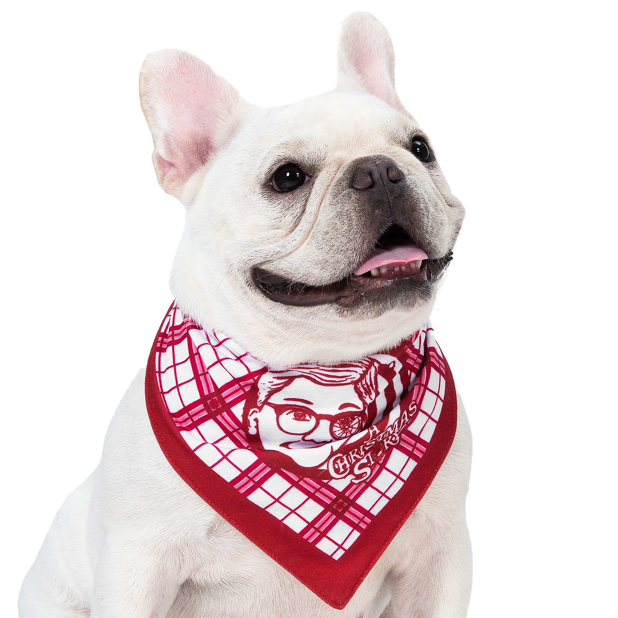 Licensed Brand A Christmas Story Dog Bandana