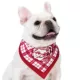 Product A Christmas Story Dog Bandana