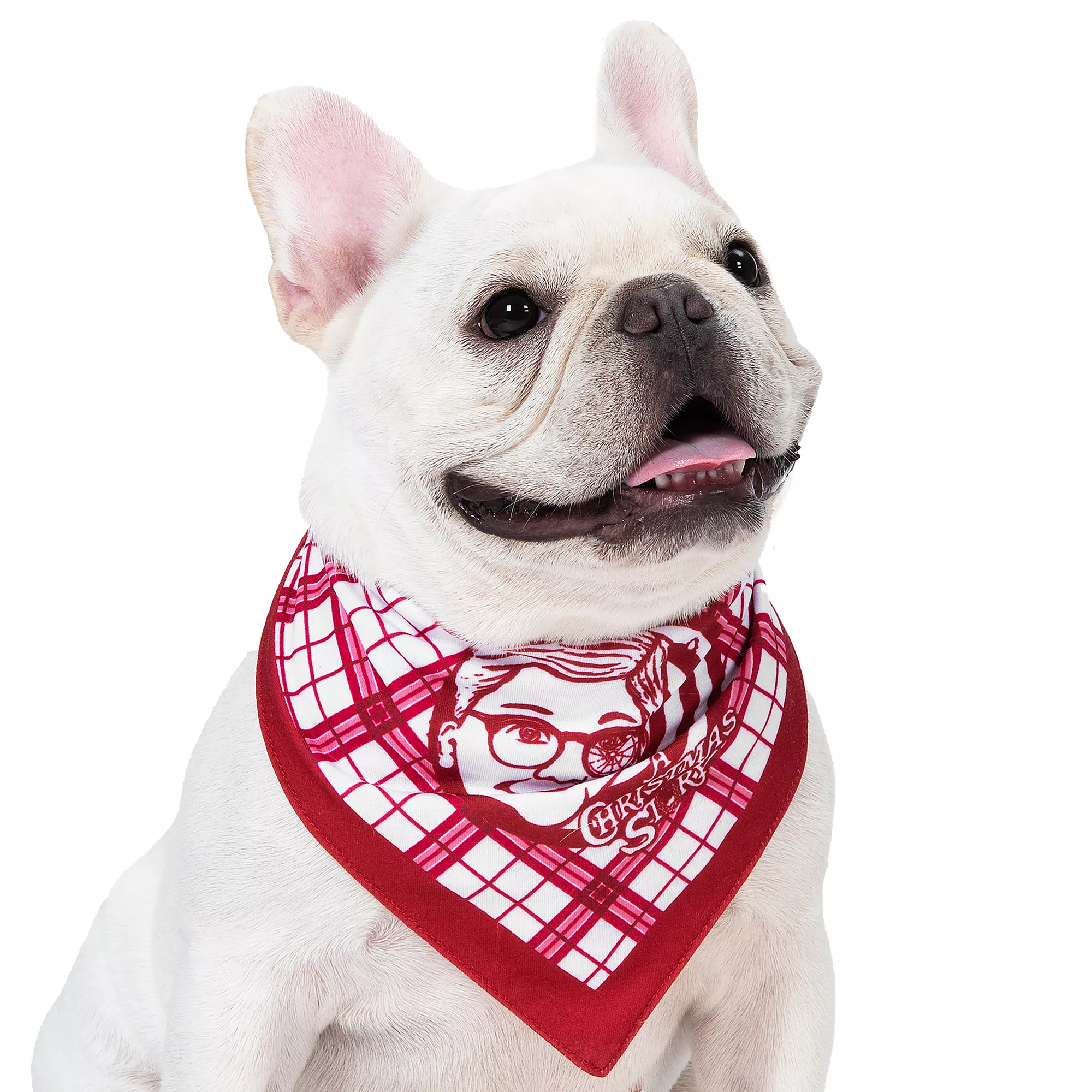 A Christmas Story Dog Bandana