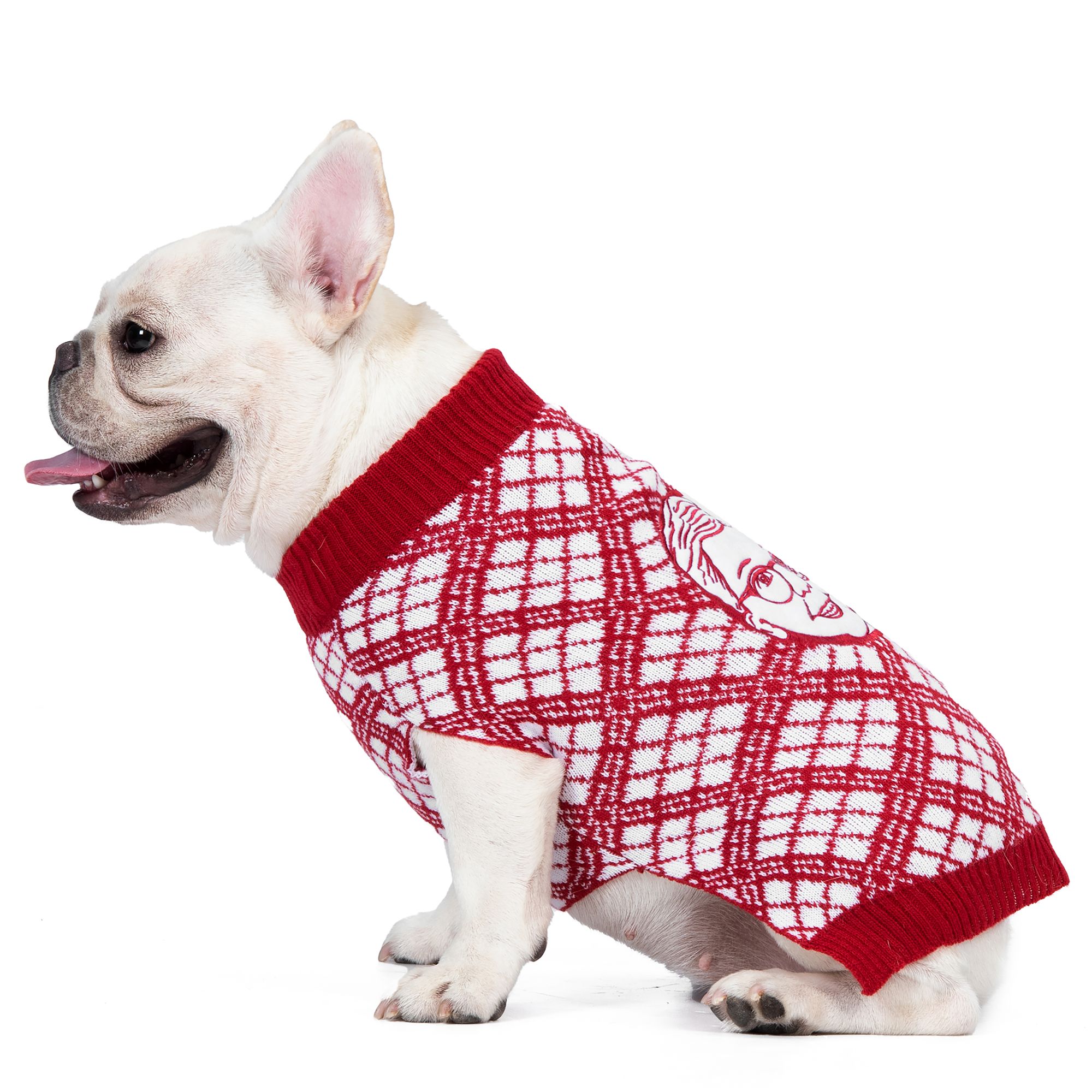 A Christmas Story Dog Sweater