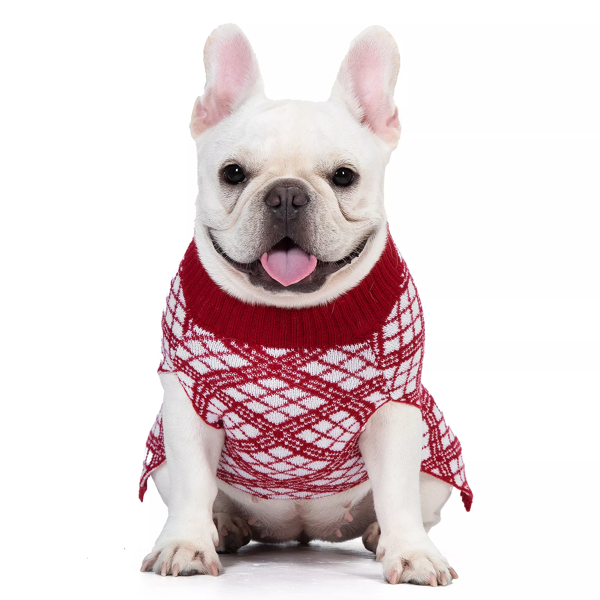 A Christmas Story Dog Sweater