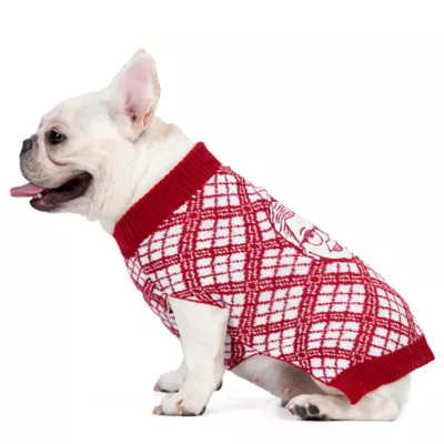 Product A Christmas Story Dog Sweater