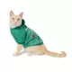 Product Merry & Bright Lights Dog Hoodie, Dog & Cat