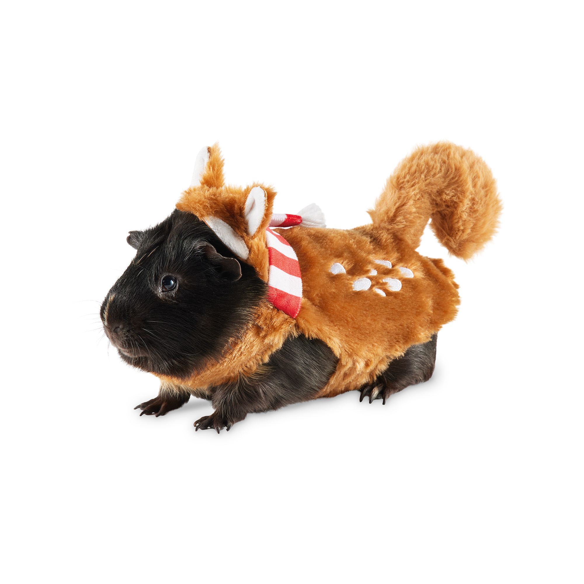 Small Pet Costumes Fun for Guinea Pigs More PetSmart Canada