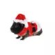 Product Merry & Bright Small Pet Santa Costume