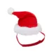 Product Merry & Bright Small Pet Santa Costume