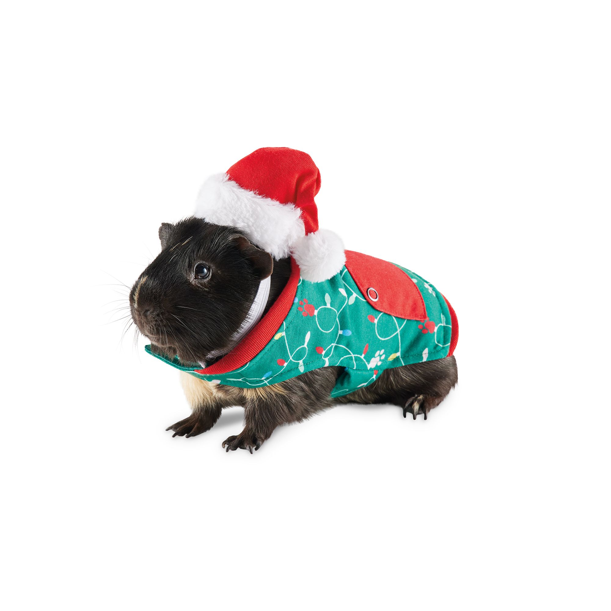 Petsmart christmas outfits best sale