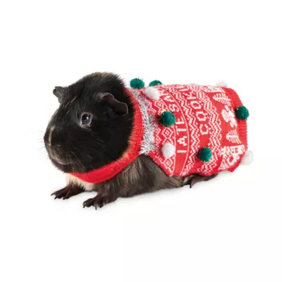 Product Merry & Bright Small Pet Ugly Sweater