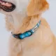 Product Sassy Woof Disney Frozen Olaf Dog Collar