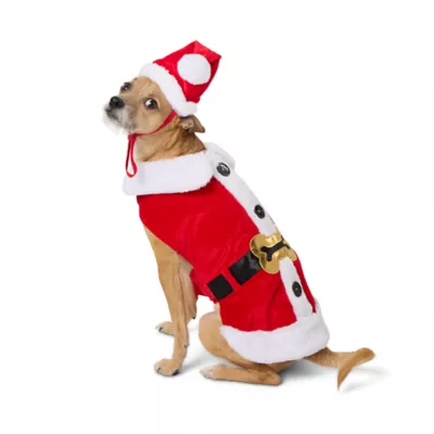 Product Merry & Bright Santa Costume, Dog & Cat