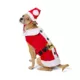 Product Merry & Bright Santa Costume, Dog & Cat