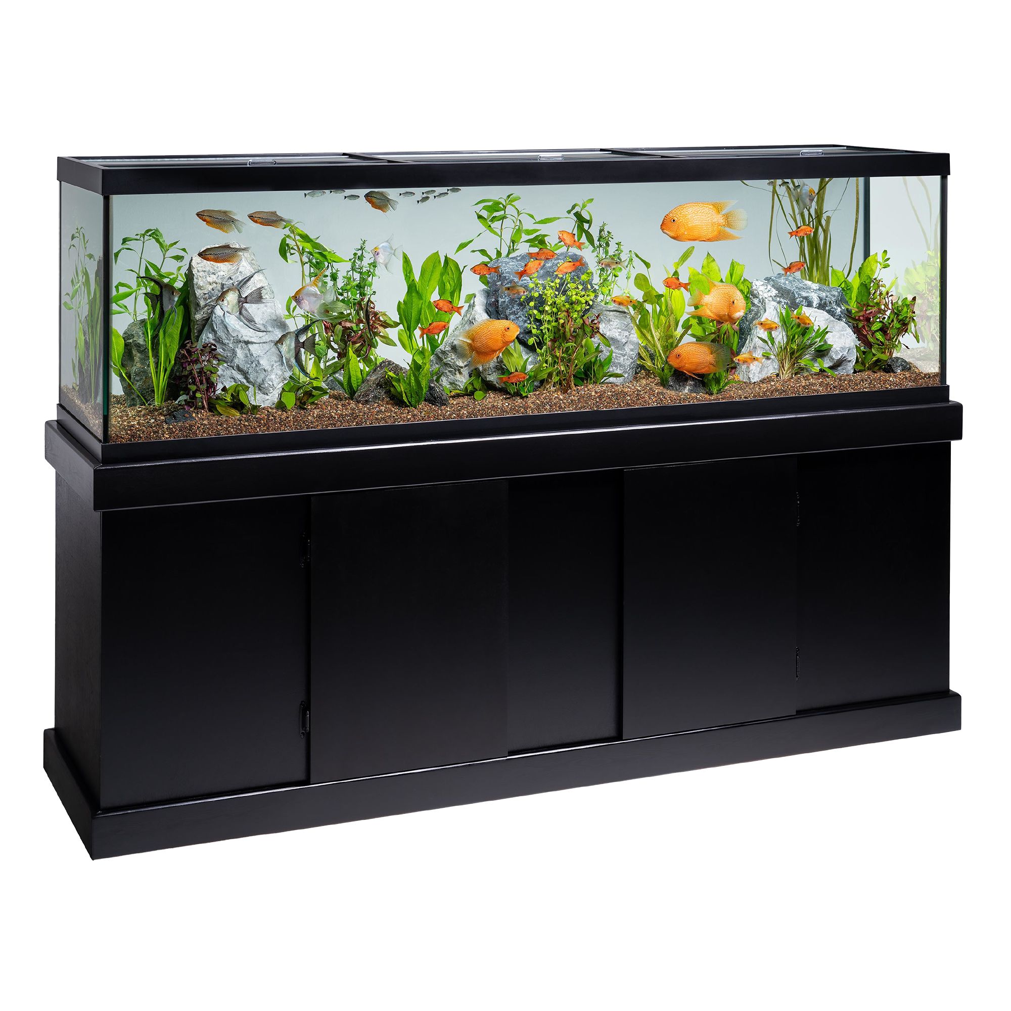 Petsmart 60 gallon tank best sale