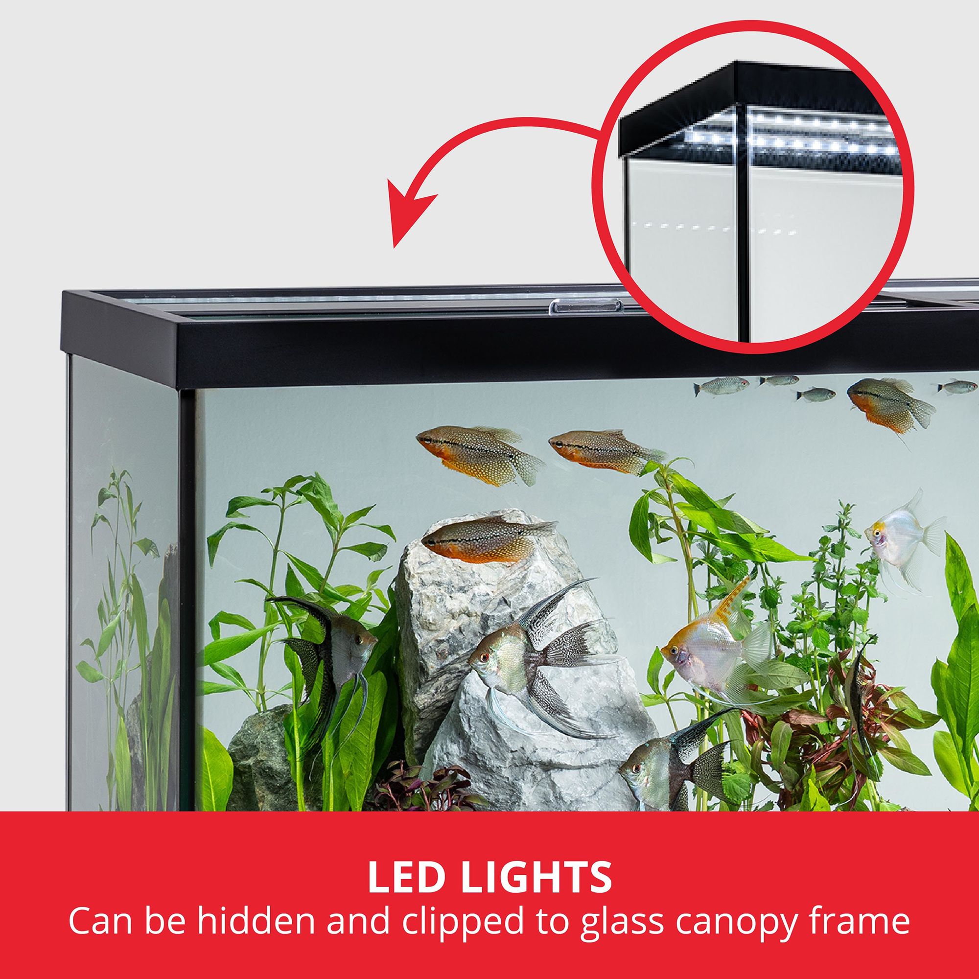 Marineland High Definition LED Ensemble 125G