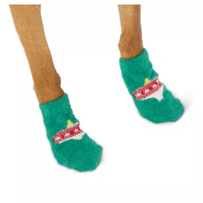 Petsmart socks best sale