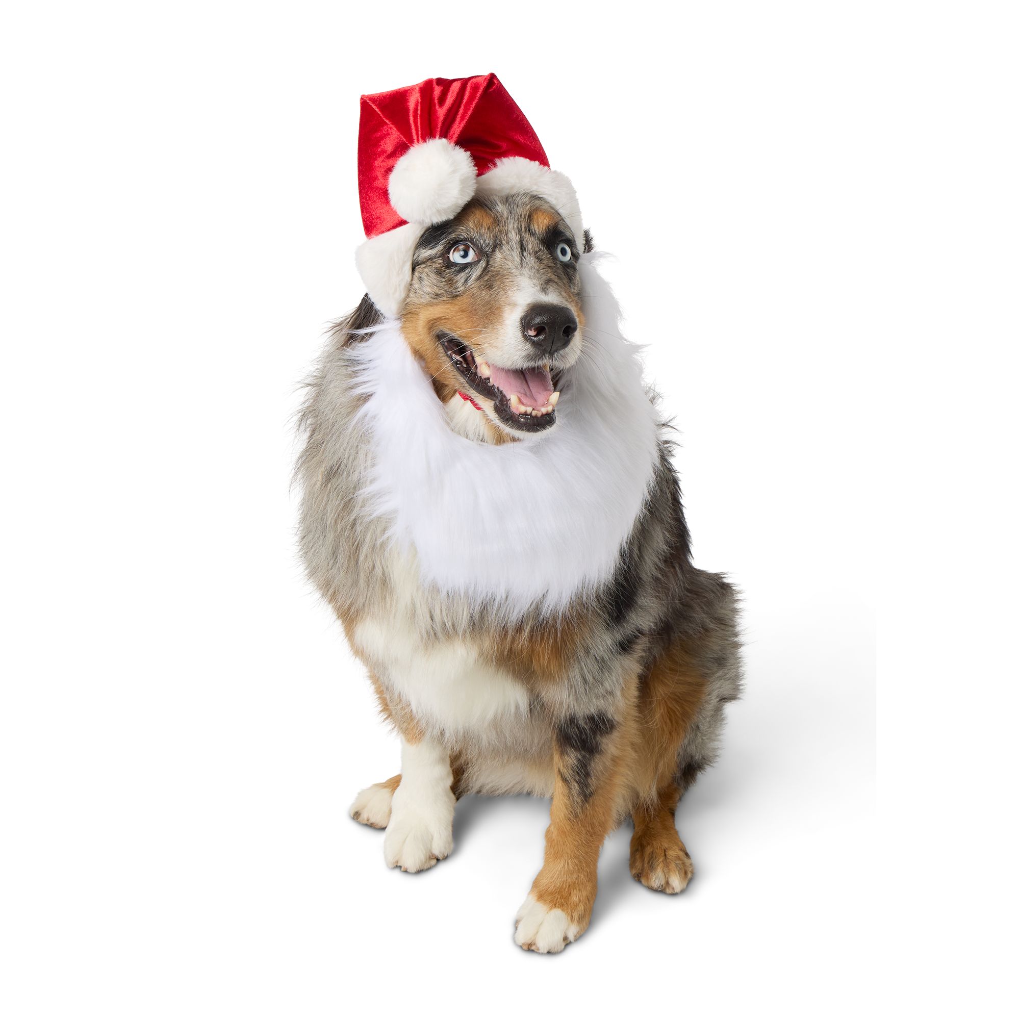 Merry Bright Santa Hat Beard Holiday Headpiece Dog Cat