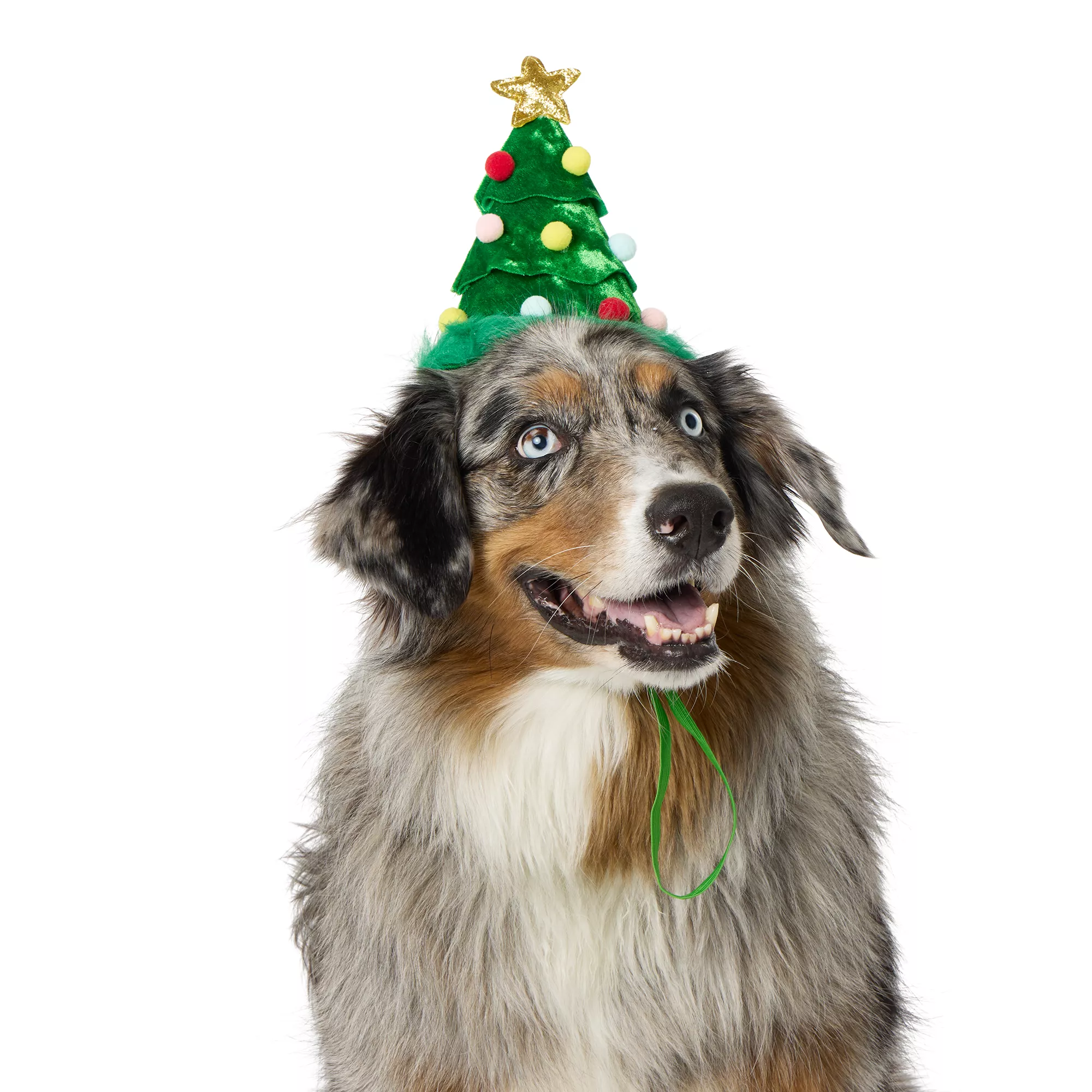 Merry & Bright&trade; Tree Holiday Headpiece, Dog & Cat