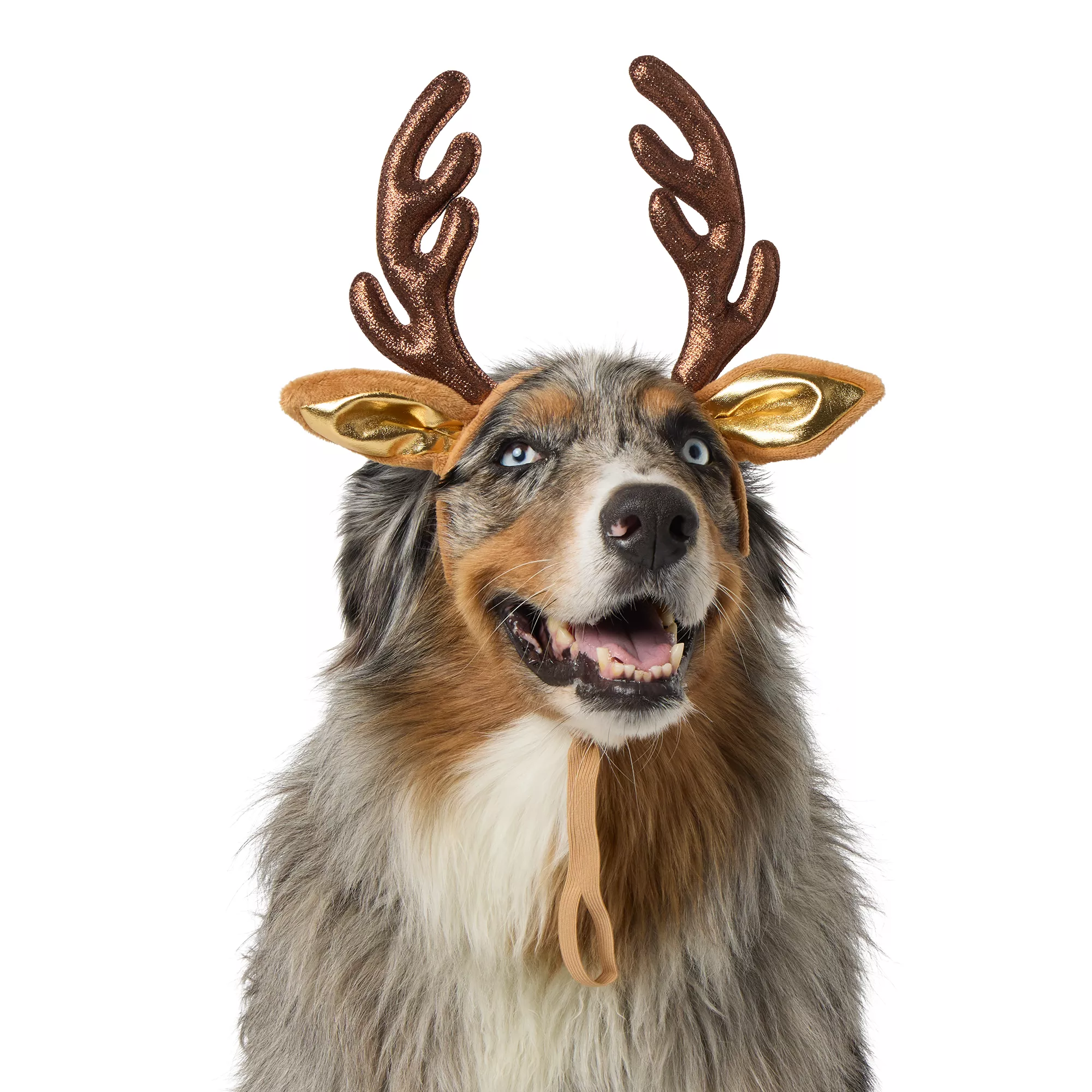 Merry & Bright&trade; Reindeer Holiday Headpiece, Dog & Cat