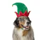 Product Merry & Bright Elf Holiday Headpiece, Dog & Cat