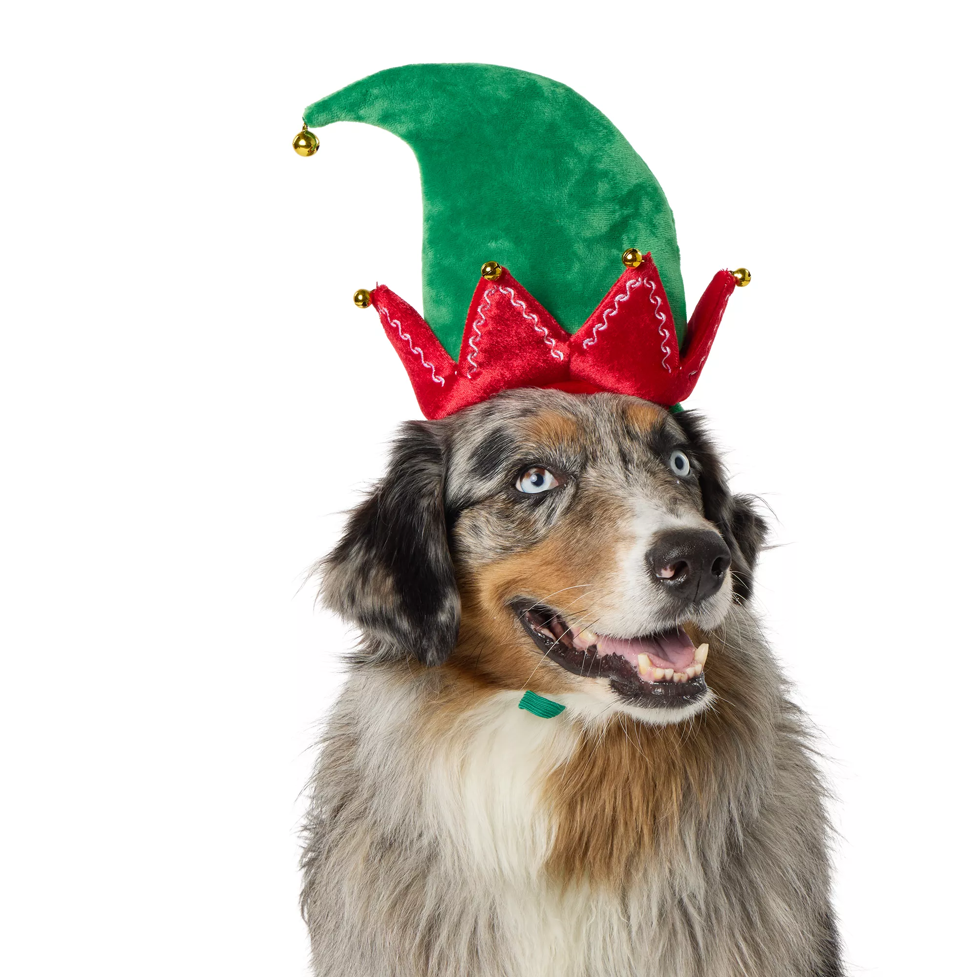 Merry & Bright Elf Holiday Headpiece, Dog & Cat