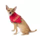 Product Merry & Bright Naughty/Nice Holiday Pet Bandana, Dog & Cat