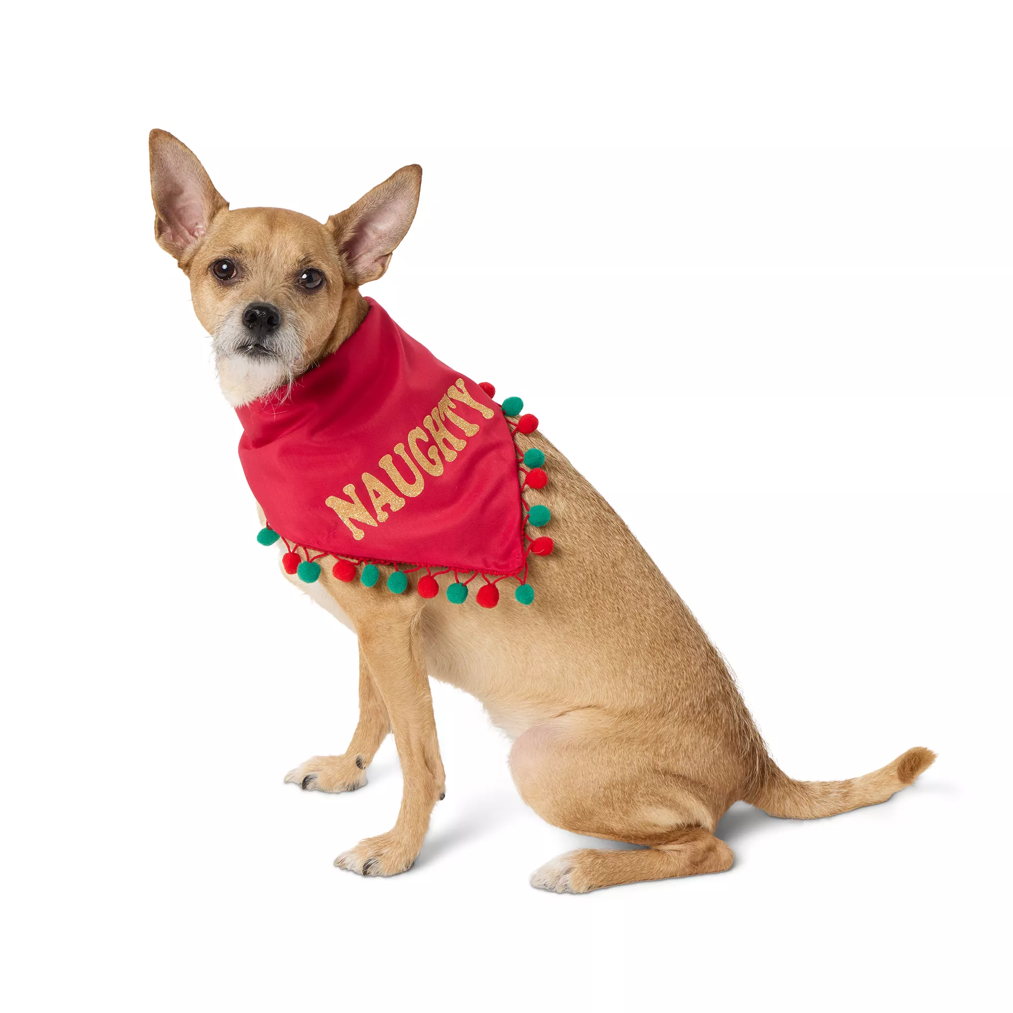 Merry & Bright&trade; Naughty/Nice Holiday Pet Bandana, Dog & Cat