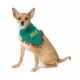 Product Merry & Bright Naughty/Nice Holiday Pet Bandana, Dog & Cat