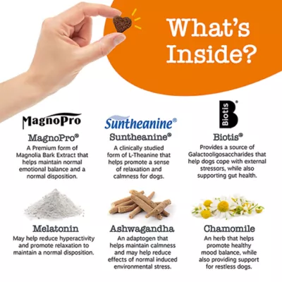 Product Zesty Paws Vet Strength Calming Bites Smoked Turkey, 90 Count