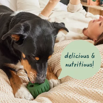 Product WOOF All-In-1 Health Pupsicle Pops Refill