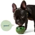 WOOF Pupsicle Refill Pops, Beef Recipe image thumbnail 5