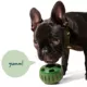 Product WOOF Pupsicle Refill Pops: Beef Recipe