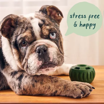 Product WOOF Calming Pupsicle Pops Refill