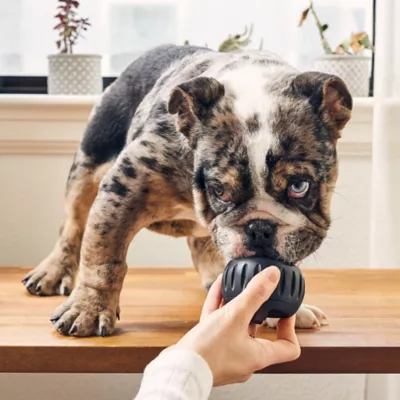 Product WOOF Pupsicle Power Chewer Dog Treat Dispensing Toy