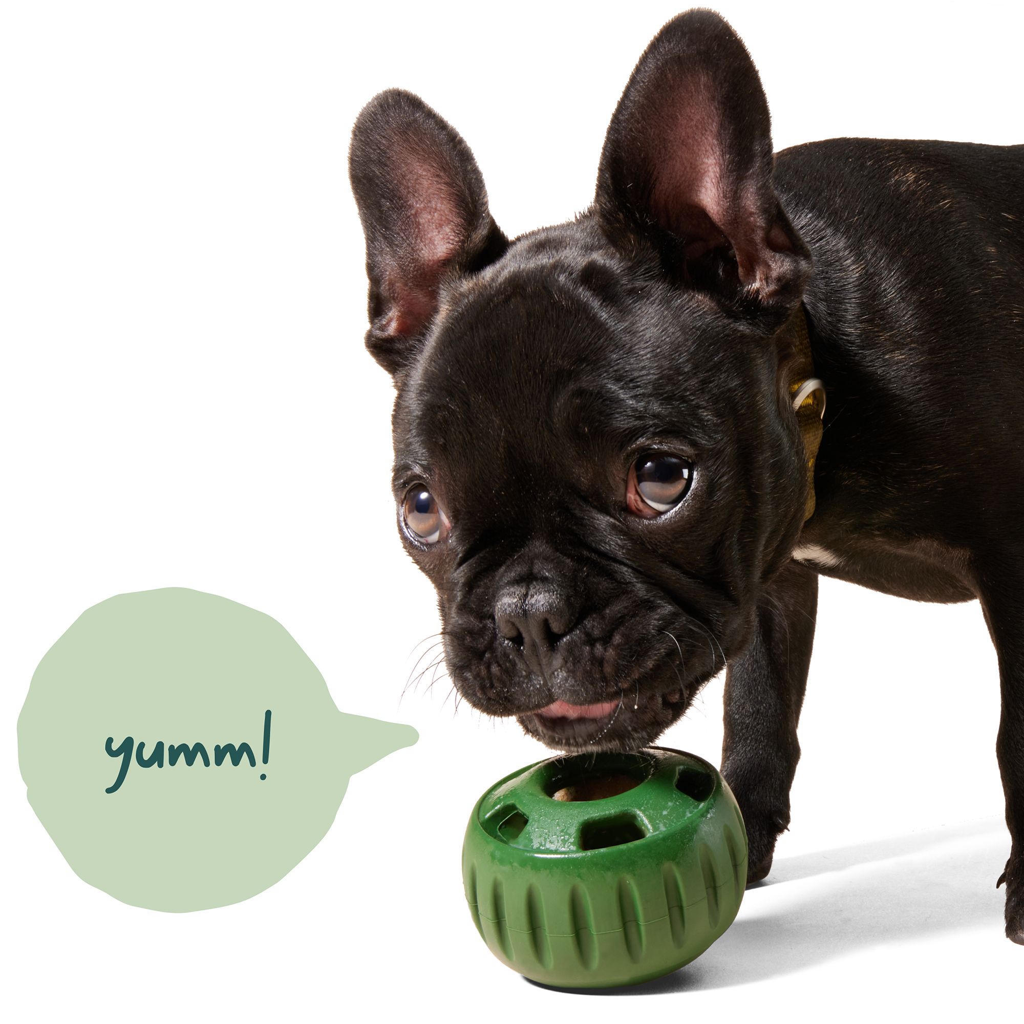 Peanut Butter Pupsicles For Dogs Pupsicle Refills WOOF Pupsicles