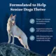 Product Blue Buffalo Wilderness Nature's Evolutionary Diet Senior 7+ Dry Dog Food - Chicken