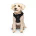 Canada Pooch Easy On Dog Harness - Black image thumbnail 2